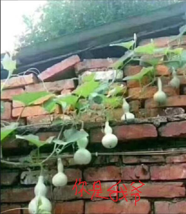 360截图20250805164714349.jpg